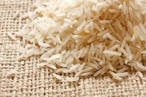 تصویر 5 از قیمت برنج عنبر بو زعفرانی با فروش عمده